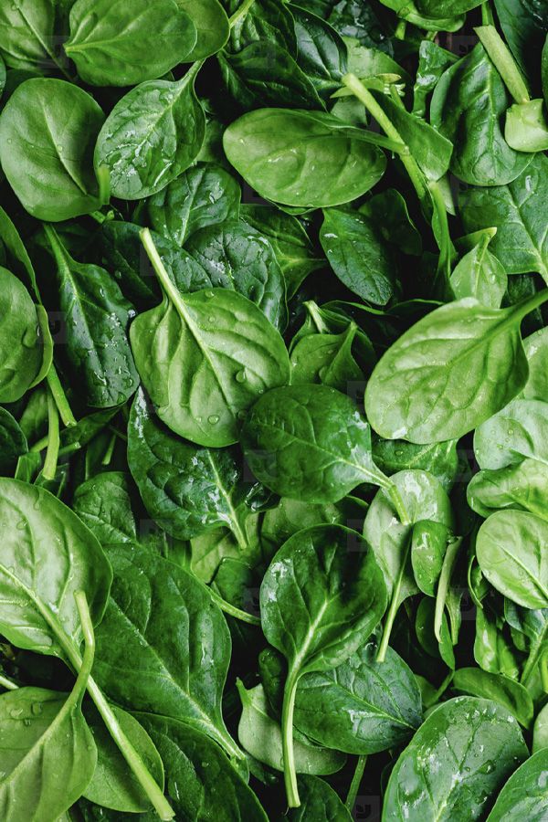 Les legumes verts et feuilles