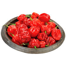 Pili-Pili