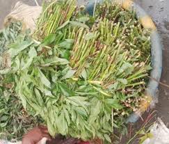 Pondu - Matamba
